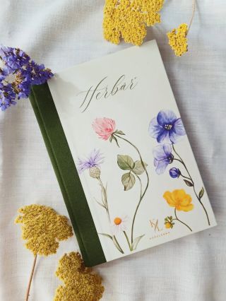 Vytvoř si svou vlastní sbírku rostlin.🌼Postupně sbírej oblíbené rostliny, vylisuj je a pomocí izolepy vlep do svého...